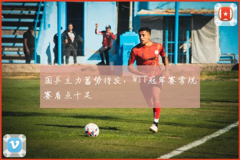 国乒主力蓄势待发，WTT冠军赛常规赛看点十足