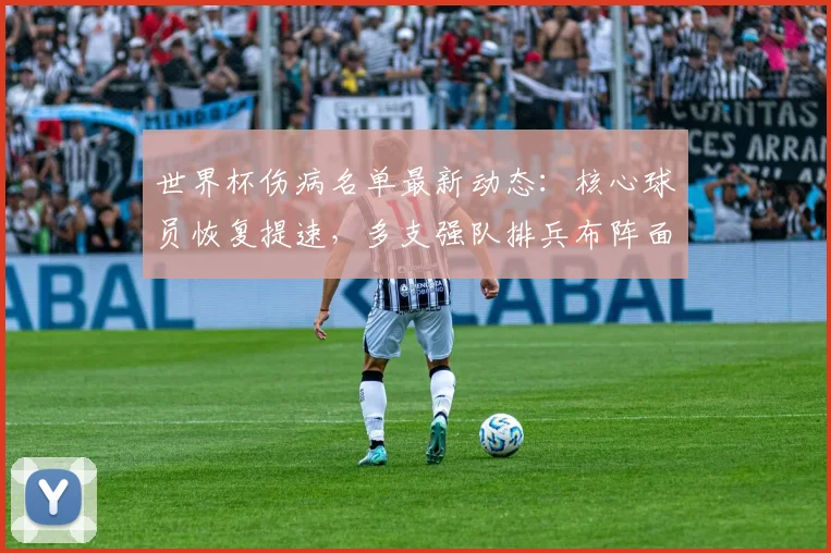 世界杯伤病名单最新动态：核心球员恢复提速，多支强队排兵布阵面临关键抉择