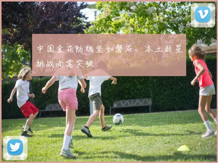 中国金花防线坚如磐石，本土新星挑战尚需突破